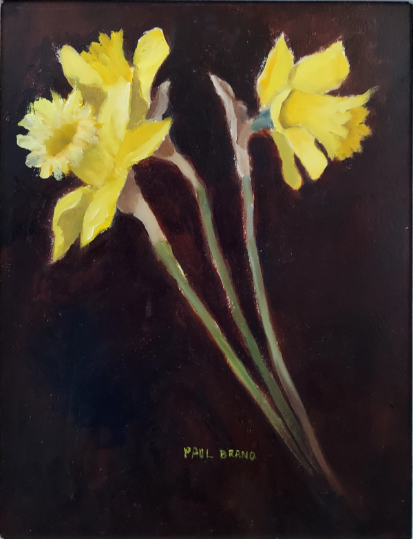 Three Daffodils by Paul Brand