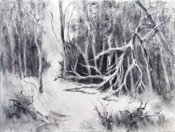 Winter Damage by Paul Brand