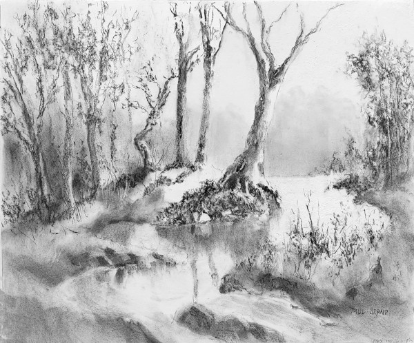 Winter Light, Swan Creek by Paul Brand