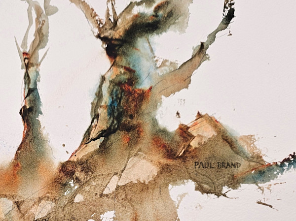 Woodland Series No 2 by Paul Brand