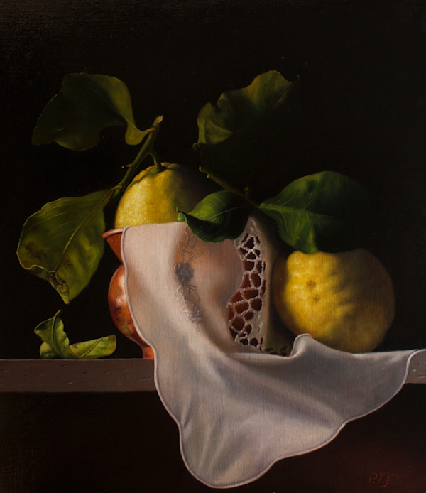 Lemons and copper vase with white cloth by Peter Thomas Foster
