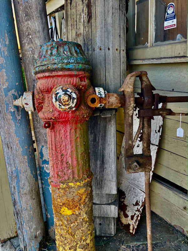Hydrant 1 by Alex Damevski