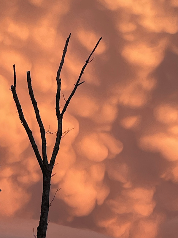 Mammatus Clouds by Alex Damevski