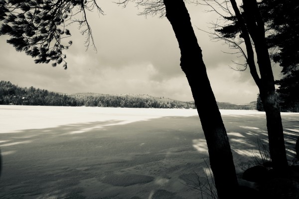 Frozen Lake by Alex Damevski