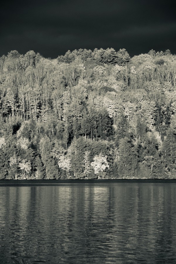 Across the Lake 1 by Alex Damevski