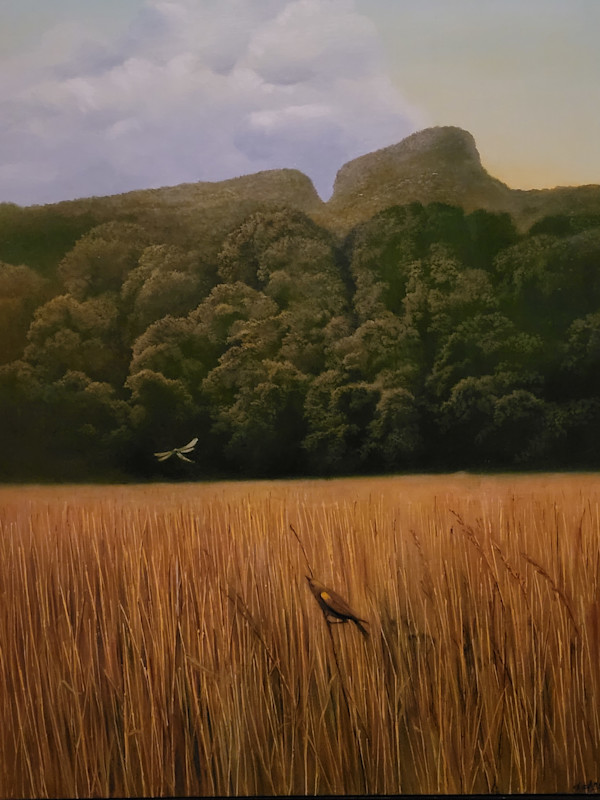 Bird with Dragonfly by Terry deAngelo