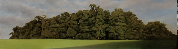 Edge of Wolf's Hollow by Terry deAngelo