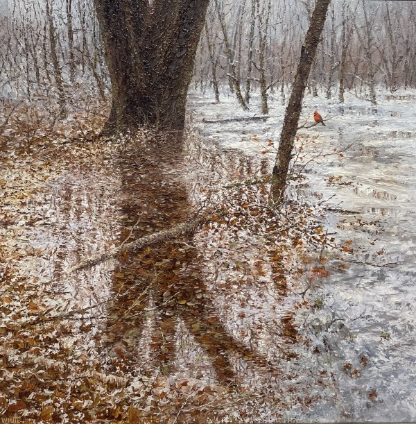 Winter Reflections by Steven J. White