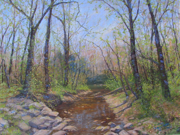 Springtime in the Woodlands by Sandy Askey-Adams