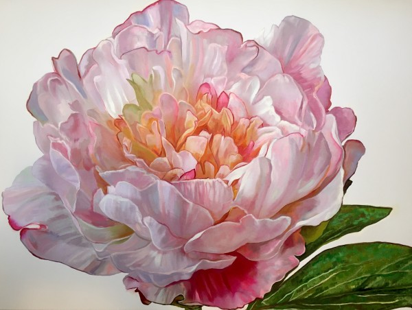 Peony by Donna Porter