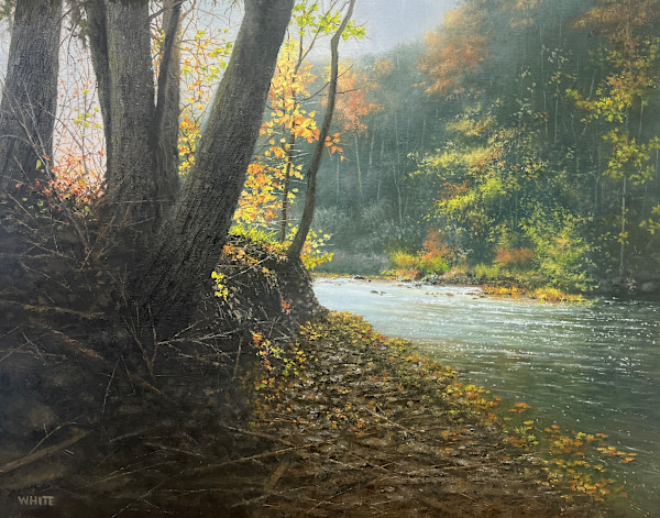 Changes by Steven J. White