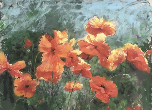 Poppies by Barbara Neville