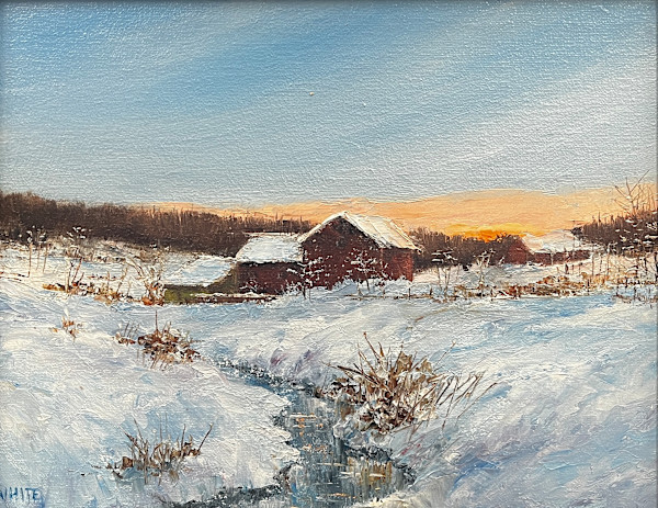 Frozen by Steven J. White