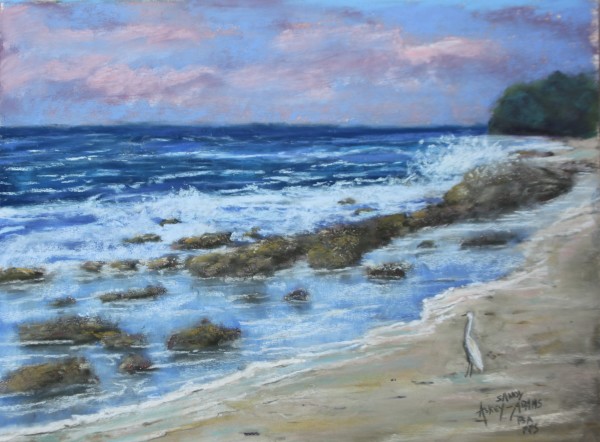 Surf Watching by Sandy Askey-Adams