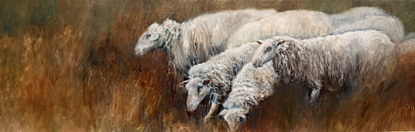 Venturing from the Flock by Stephanie Molnar