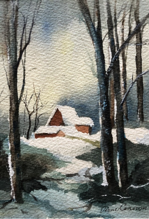 Snowed in by Diane Cannon