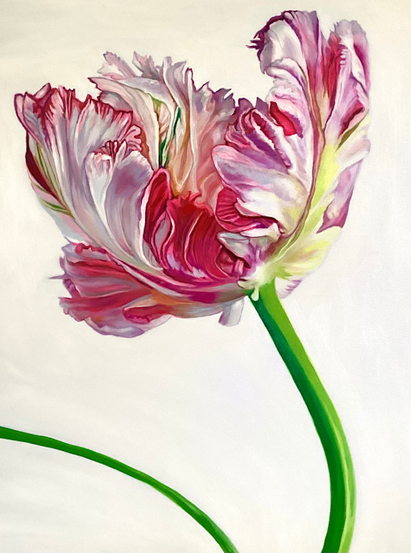 Peony on White by Donna Porter