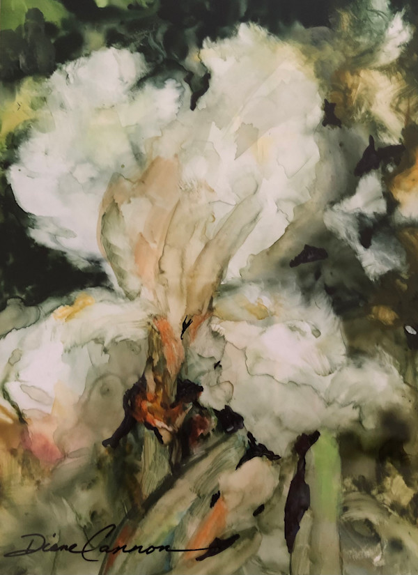 Iris II by Diane Cannon