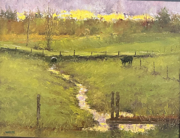 Cow by Steven J. White