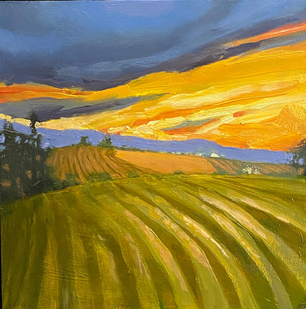 Bright Morning by Carol Fastuca