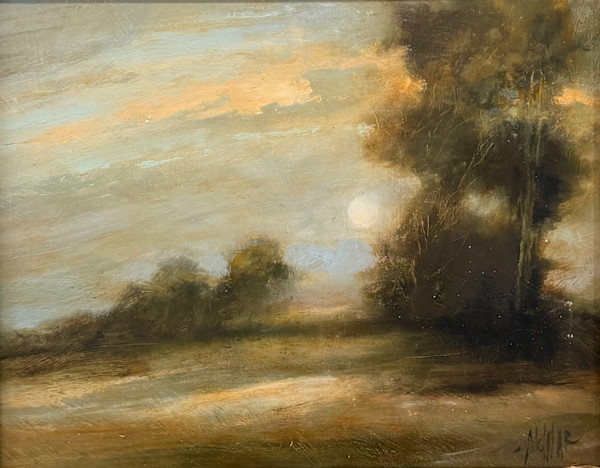 The Moon in Hiding by Stephanie Molnar