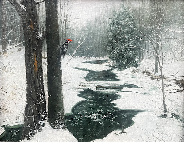 I Hear You Knocking by Steven J. White