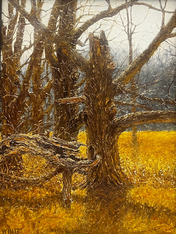 Knock On Wood by Steven J. White