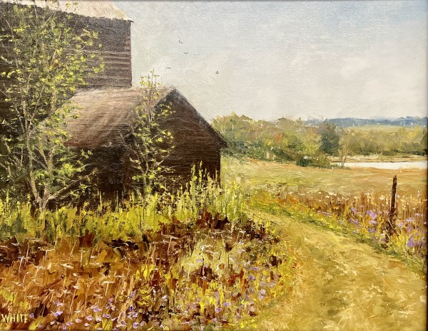 Let It Grow by Steven J. White