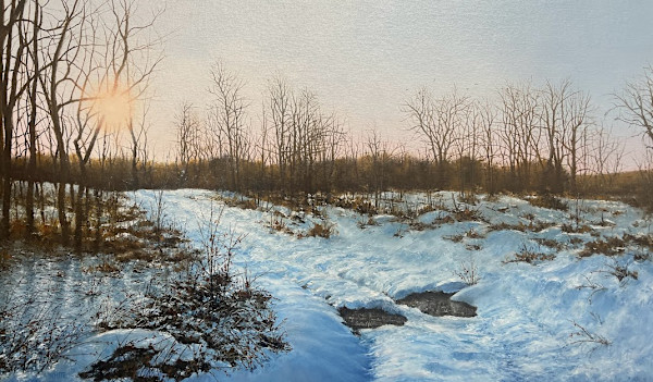 Light The Way by Steven J. White