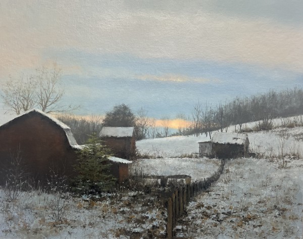 Night Harvest by Steven J. White