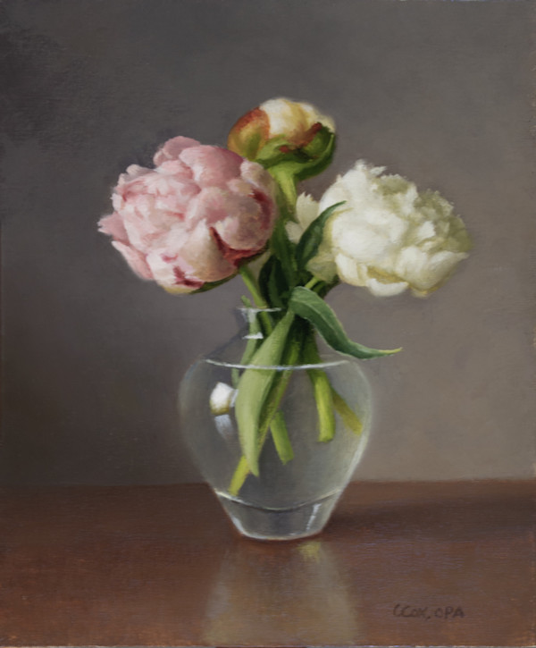 Peony Stillness by Cecelia Cox