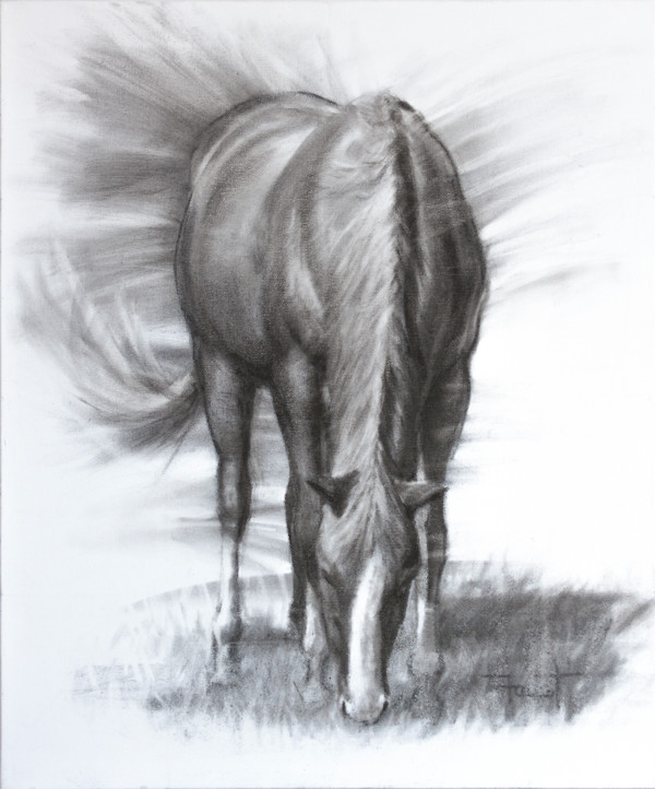 The Graze by Shawn Faust