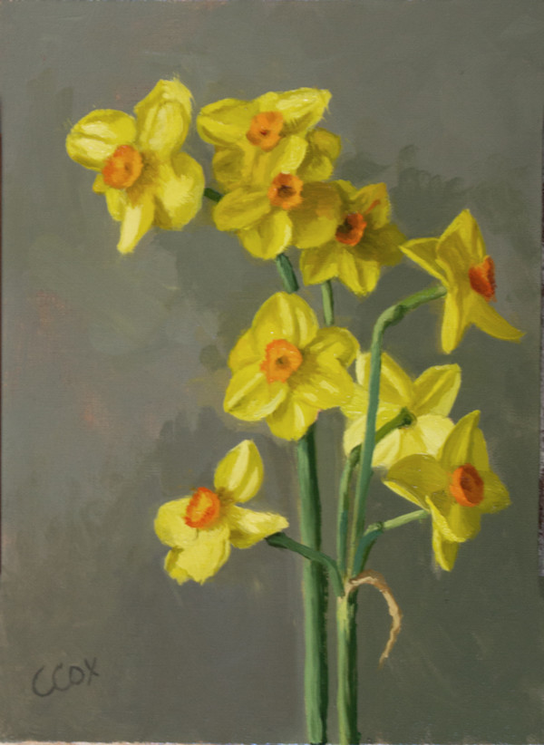 Spring Sunshine by Cecelia Cox