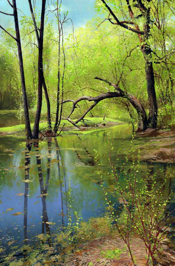 Spring by Victor Mordasov