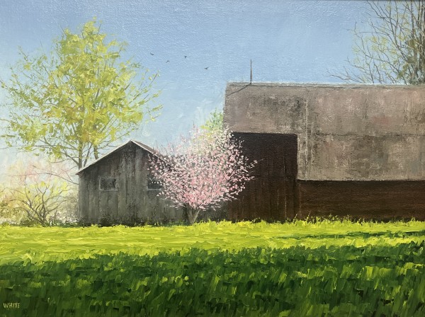 Sundance by Steven J. White