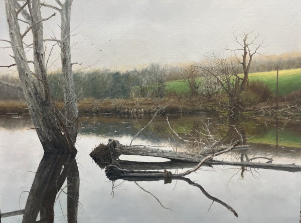 Swamp Things by Steven J. White