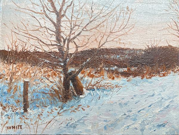 Winter Dusk by Steven J. White