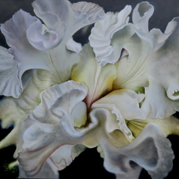 White Iris 1 by Lee Eastman