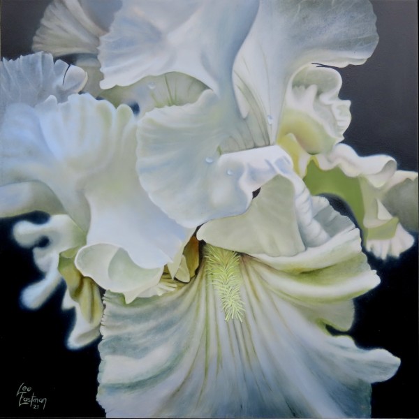 White Iris 2 by Lee Eastman