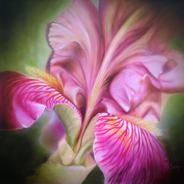 "Irresistible Iris" by Lee Eastman