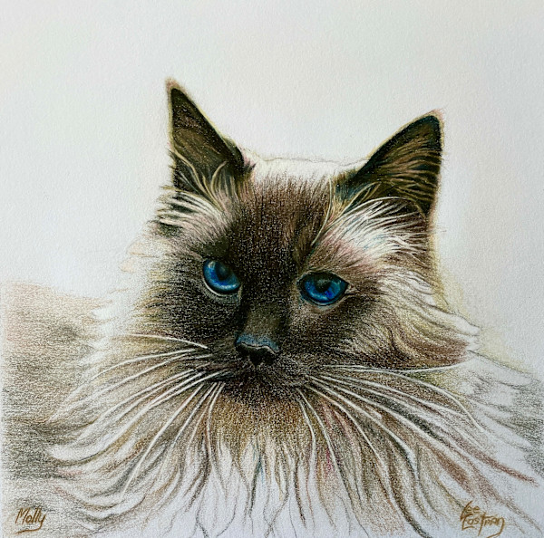 Molly by Lee Eastman