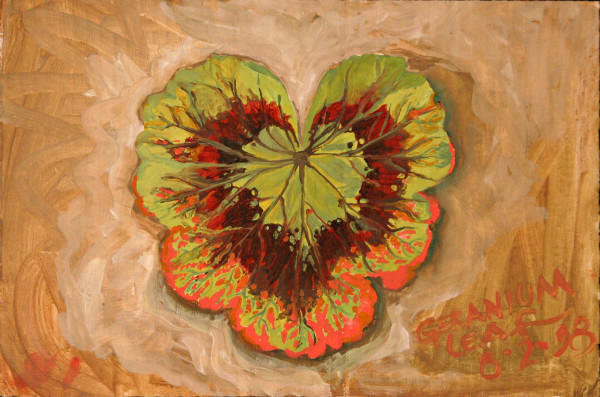 Chrysanthemum Leaf