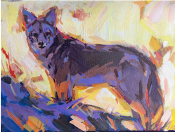 Coyote at Dusk (copy) by Laura Green