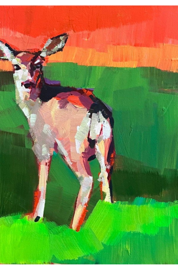 Mule Deer by Laura Green
