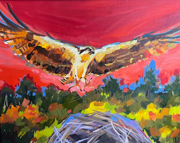 Osprey by Laura Green