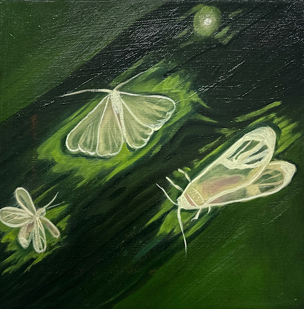 Bugs by Frances Matassa