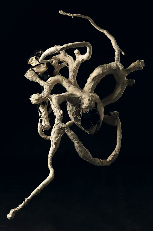 Untitled by Jingyu Xu, Image 1.