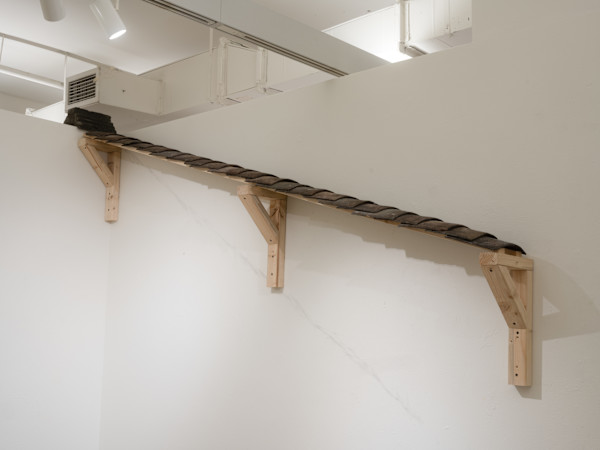 Migrating Eaves by Xingzheng Bao