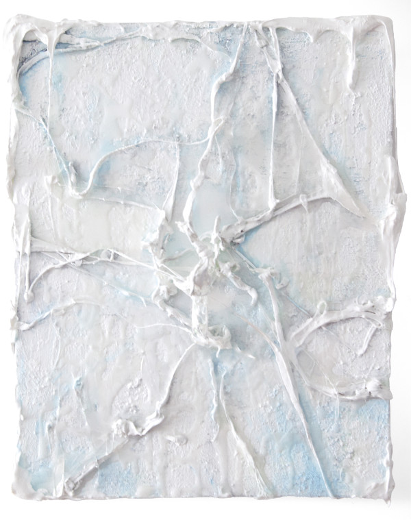 Frozen Spider by Tong Wang