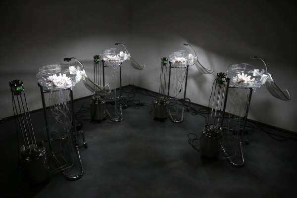 Tethers by Alison Hiltner, Image 1.